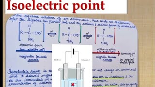 Isoelectric point of Amino acids [upl. by Esaertal843]