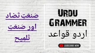 Urdu grammar Sanate tazad and sanate talmeeh صنعت تضاد اور صنعت تلمیح [upl. by Nnek]