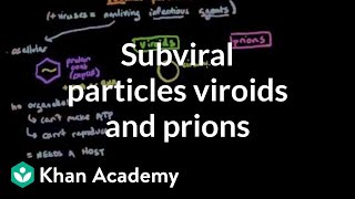 Subviral particles viroids and prions  Cells  MCAT  Khan Academy [upl. by Gilberto]