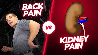 Back Pain vs Kidney Pain  How Can You Tell If Your Back Pain Is Coming From Your Kidney [upl. by Fenella562]