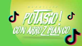 POTASIO CON ARROZ BLANCO  REMIX OFICIAL  DJ PHILLIP Tik Tok Perreo [upl. by Adnaval]