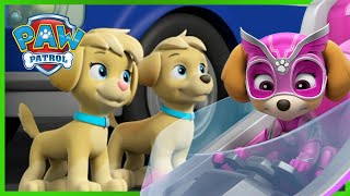 Skye Meets the Mighty Twins and MORE  PAW Patrol  Cartoons for Kids [upl. by Mildred]