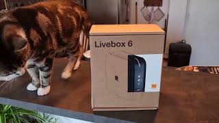 Unboxing Livebox 6 Docteur Micro Avril 2022 [upl. by Armbruster]