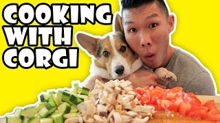 COOKING WITH CORGI DOG  Life After College Ep 520 [upl. by Lyndell]