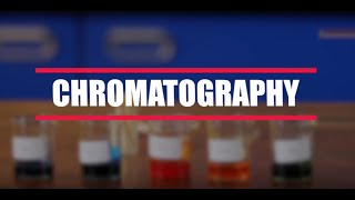 How To Do A Chromatography Experiment BBC Bitesize KS3 Chemistry [upl. by Letsou858]