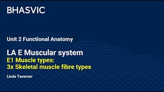 E1 Muscle types 3x Skeletal muscle fibres [upl. by Delia]