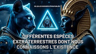 Différentes espèces extraterrestres dont nous connaissons lexistence Épisode 1  LÉGENDES CÉLESTES [upl. by Anenahs]