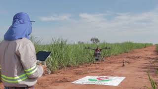 Aplicação com Drone de Cotesia flavipes  Grupo AGTech [upl. by Gerek336]