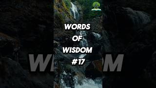 Words of wisdom 17 shorts [upl. by Akirej]