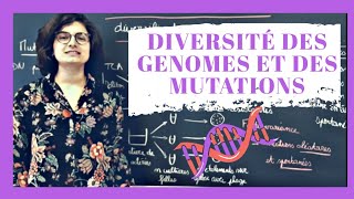 🧬 Diversité des mutations et génomes  Biologie prépa BCPST Terminale [upl. by Halludba843]