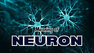 What is the meaning of Neuron [upl. by Lladnyk]