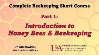 Part 1 Intro to Beekeeping [upl. by Demmahom]