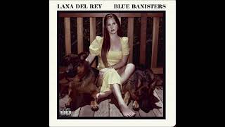 blue banisters  lana del rey acapella [upl. by Wenona]