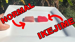 The Taste Difference You Can SEE  Ikejime vs Non Ikejime  Yellowfin Tuna CCampC [upl. by Aivax]