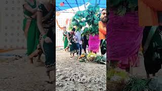 dance funny song comedy music sad lovesong love [upl. by Akkin]