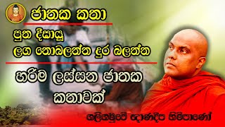 හරිම ලස්සන ජාතක කතාවක්  ගලිගමුවේ ඥාණදීප හිමිපාණෝ  ජාතක කතා  jathaka katha  jathaka katha sinhala [upl. by Westley76]