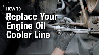 How to Replace Your Engine Oil Cooler Line [upl. by Latini]