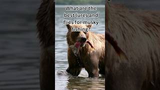 What are the best lures and flies for Musky Fishing [upl. by Auqinat]