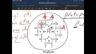 Porphyrins and bile salts [upl. by Shiri843]