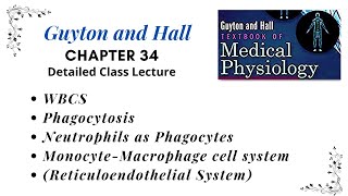 Chapter 5  Reticuloendothelial System  Monocyte Macrophage cell system  WBCs Tissue Macrophages [upl. by Glarum]