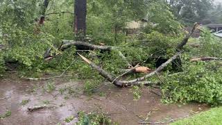 Texarkana Texas resident shares story of Tropical Storm Beryls wrath [upl. by Dinse]