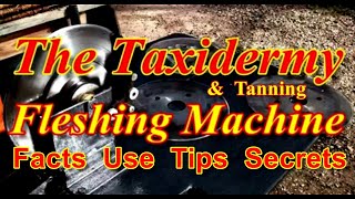 The Tanning and Taxidermy FLESHING MACHINE Video 175 [upl. by Esenahs]