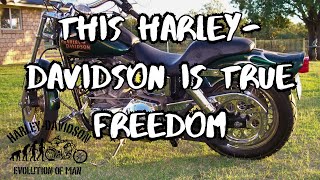 Why the HarleyDavidson Evo Engine is Perfect for DIY Mechanics [upl. by Billat]