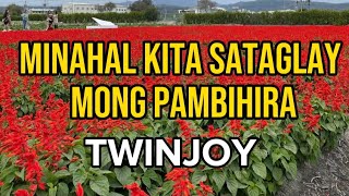 MINAHAL KITA SA TAGLAY MONG PAMBIHIRA TWINJOY LYRICS [upl. by Hermia]