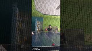 training multiballs loop topspin sides stip [upl. by Bridgid774]