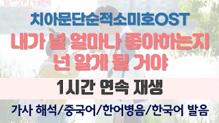 1시간 치아문단순적소미호OST  내가 널 얼마나 좋아하는지 넌 알게 될 거야  我多喜欢你 你会知道 [upl. by Annoit]