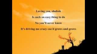 LOVING YOU BY NINA LYRICS [upl. by Lea]