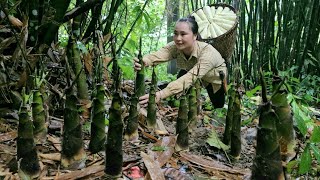 Harvest bamboo shoots on rainy days to bring to market to sell  building farm life  Tương Thị Mai [upl. by Ahsilra]