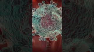 Nanobots The Tiny Robots Revolutionizing Medicine and Improving Human Health factsshorts [upl. by Ehling]