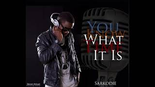 Sarkodie  This Is Mixtape Crazy Freestyle [upl. by Abbot]