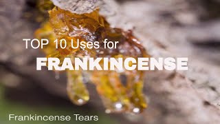 Top 10 Uses for Frankincense Essential Oil [upl. by Couchman341]