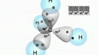 Molecular Shape and Orbital Hybridization [upl. by Artie498]