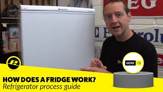 How Does a Fridge Work How is a Fridge Cooled amp More [upl. by Ahsimed589]