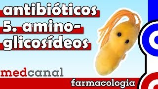 Aminoglicosídeos  ANTIBIOTICOTERAPIA Vídeo 5 [upl. by Chance]