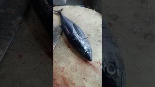 Big tuna fish cutting slice master shorts video [upl. by Noby805]