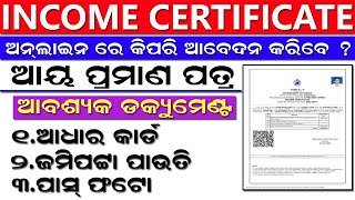 How to Apply Income Certificate in 2024 l Income Certificate Apply Odisha Income Certificate Online [upl. by Akiemehs632]