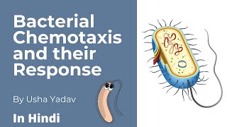 Bacterial Chemotaxis and their Responses  Microbiologyseries CSIR [upl. by Solorac]