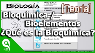 Biología  Bioquímica  Bioelementos ¿Qué es la Bioquímica 14 [upl. by Ssilem708]