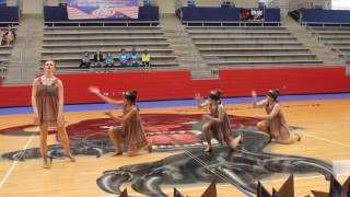 quotThe StrugglequotDazzlers Dance Studio Officers at Regionals 22517 [upl. by Ramel]