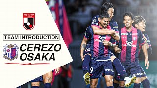 A Taste of Cerezo Osaka 2023 Meiji Yasuda J1 League Highlights [upl. by Erlene436]