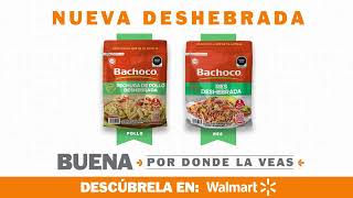 Nueva Deshebrada Bachoco [upl. by Jose]