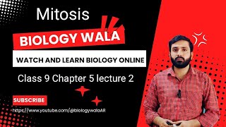 biology class 9 chapter 5 lecture 2  mitosis  mitosis phase of cell cycle  mitosis in hindi [upl. by Anny708]