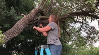 How to Hang a Swing From a Tree With Rhino StrapMate [upl. by Elizabeth]