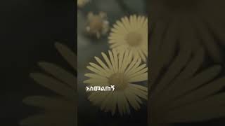 ዘማሪ አስቴር አበበ  Singer Aster Abebe  mezmur christian song worship AsterAbebeOfficial [upl. by Cristy224]