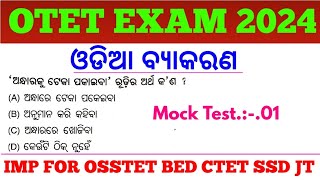 Target OTET Exam 2024  Odia Grammar MCQs  OTET Previous Years Odia MCQs  OSSTET SSD JT TGT RI [upl. by Ameerahs]