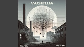 Vachellia [upl. by Quita]